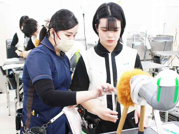 学校のモデル犬とトリミング実習☆